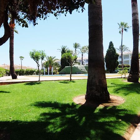 Roderic - Apartamento Junto Al Mar Oliva Dış mekan fotoğraf