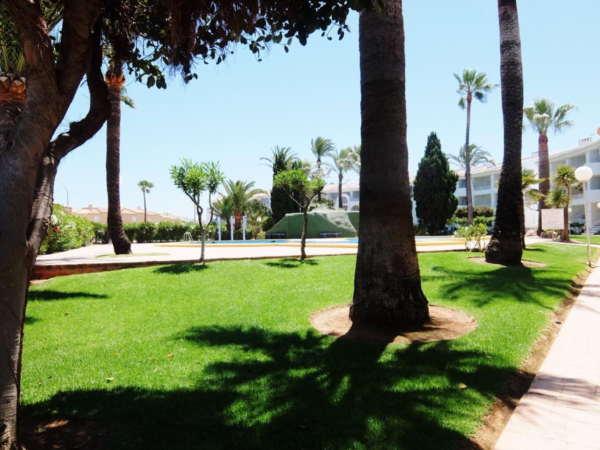 Roderic - Apartamento Junto Al Mar Oliva Dış mekan fotoğraf