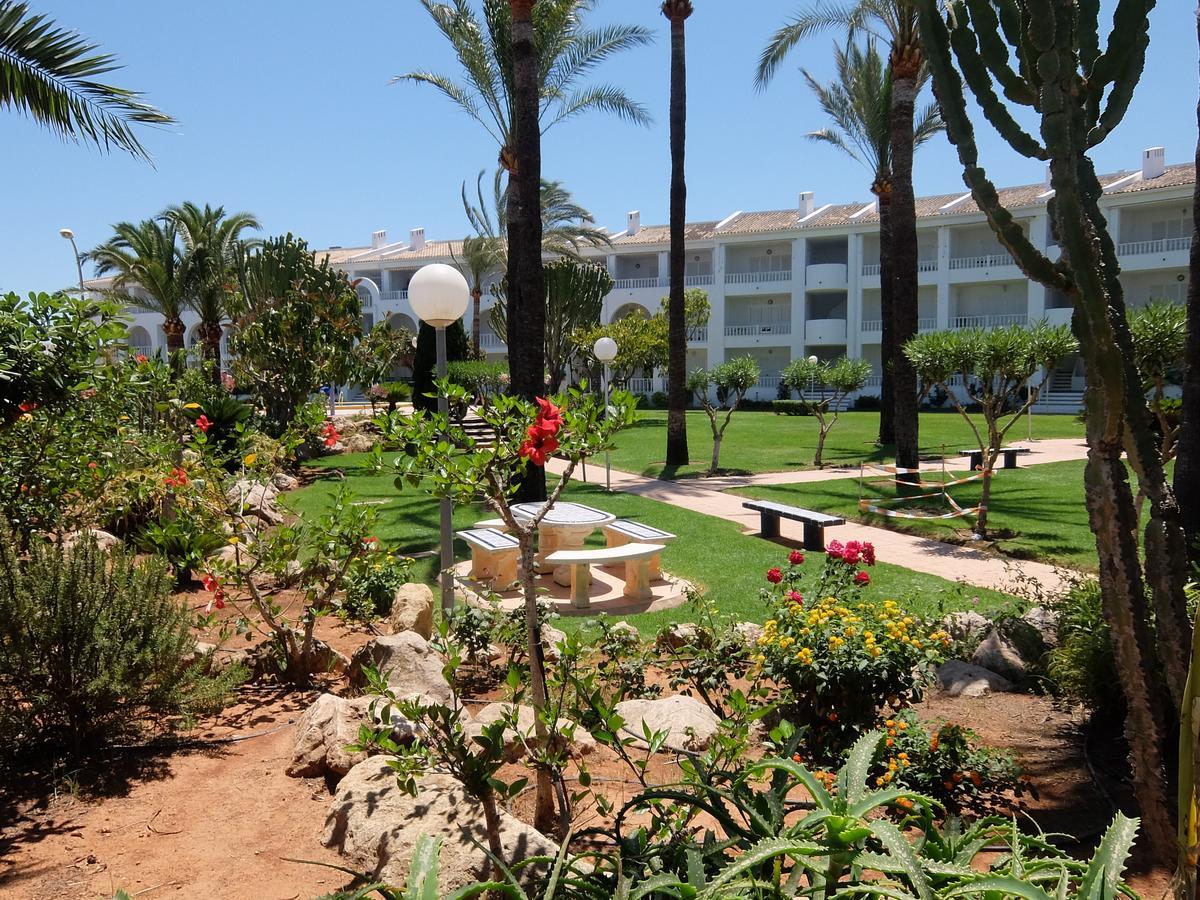 Roderic - Apartamento Junto Al Mar Oliva Dış mekan fotoğraf