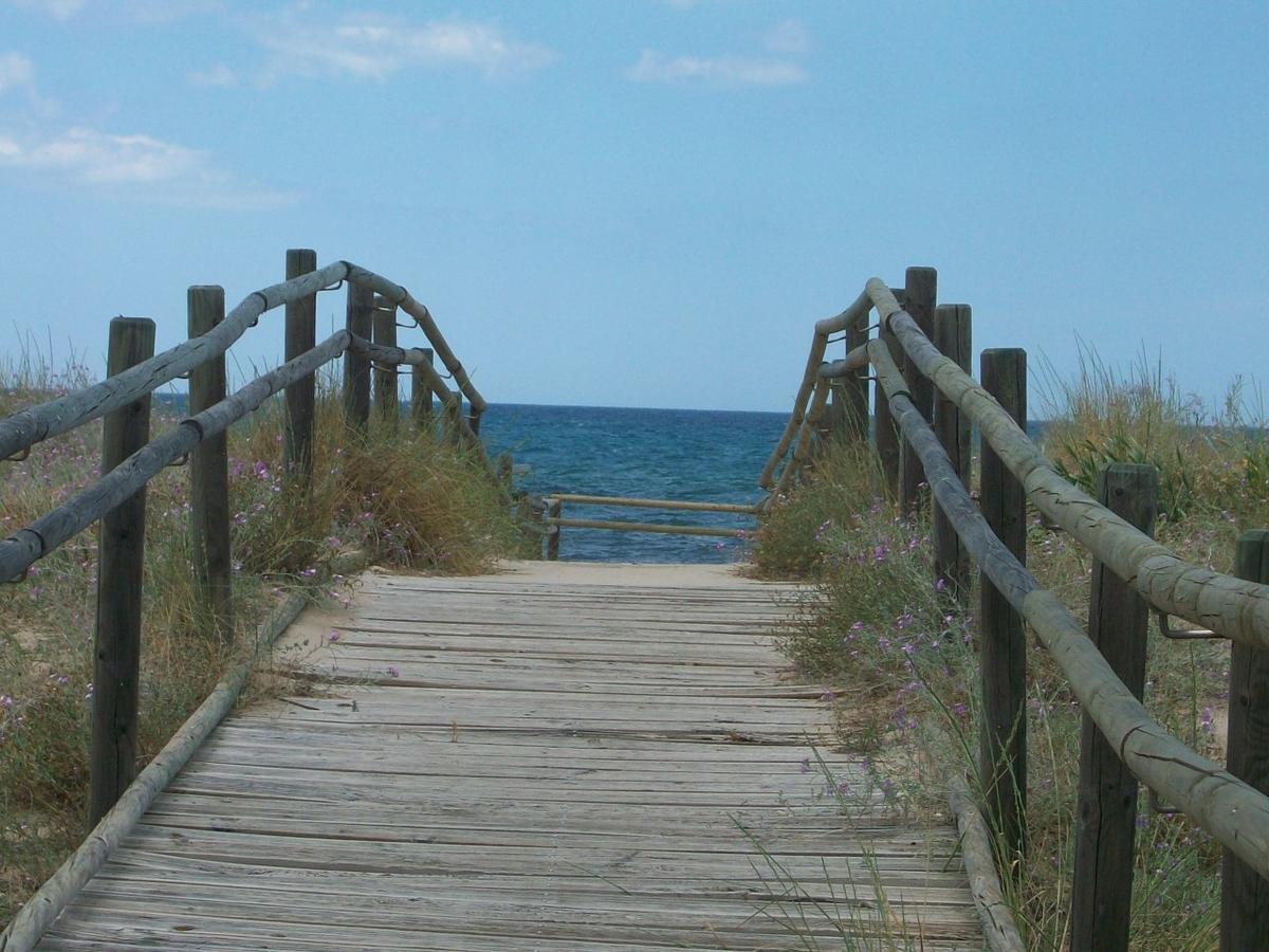 Roderic - Apartamento Junto Al Mar Oliva Dış mekan fotoğraf